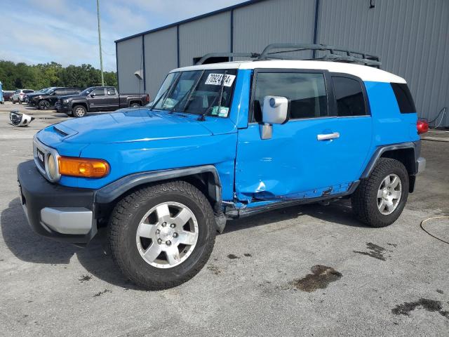 toyota fj cruiser 2007 jtezu11f870009989