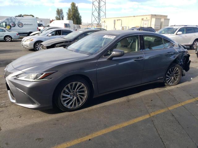 lexus es 300h 2019 jthb21b10k2041202