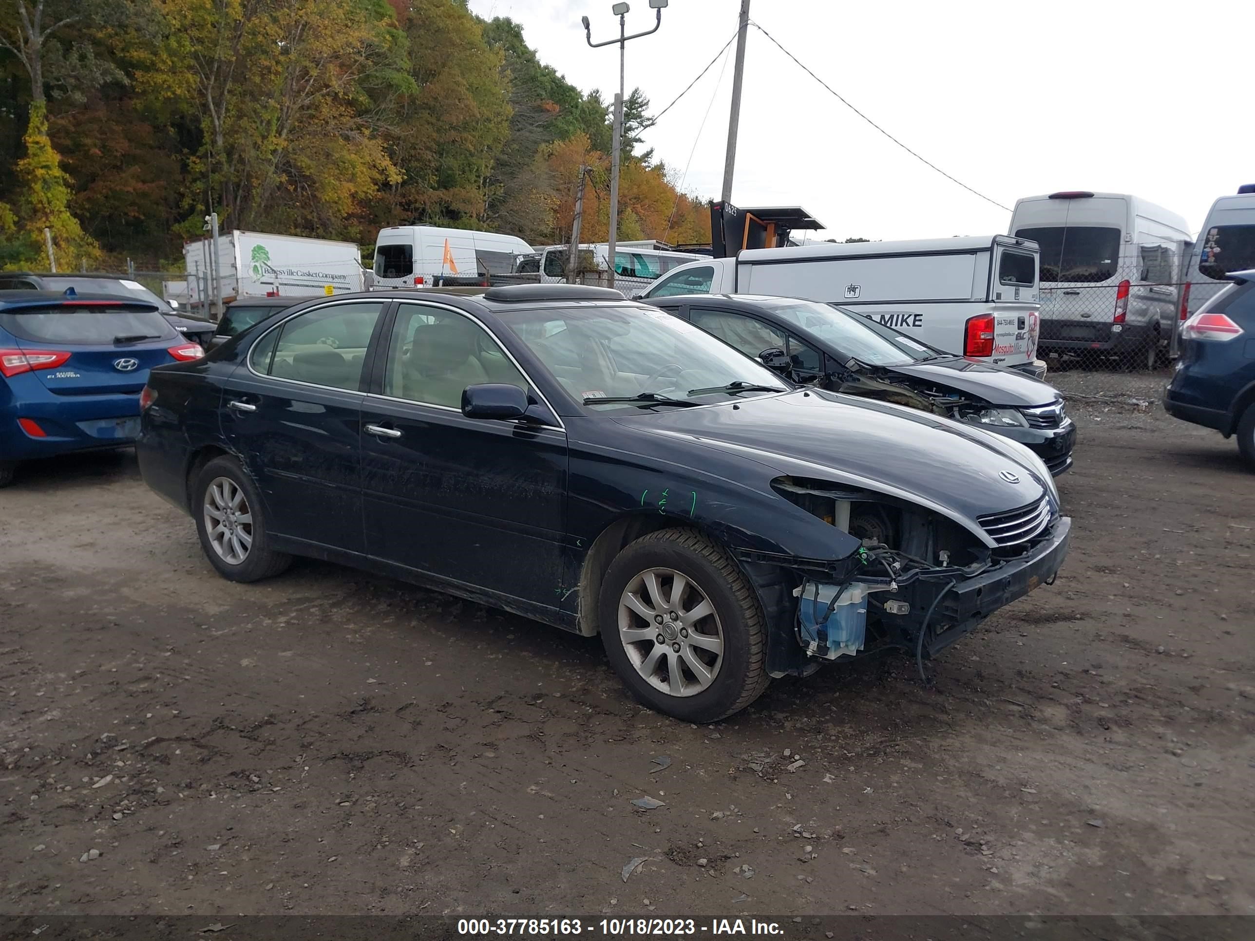 lexus es 2004 jthba30g045006179