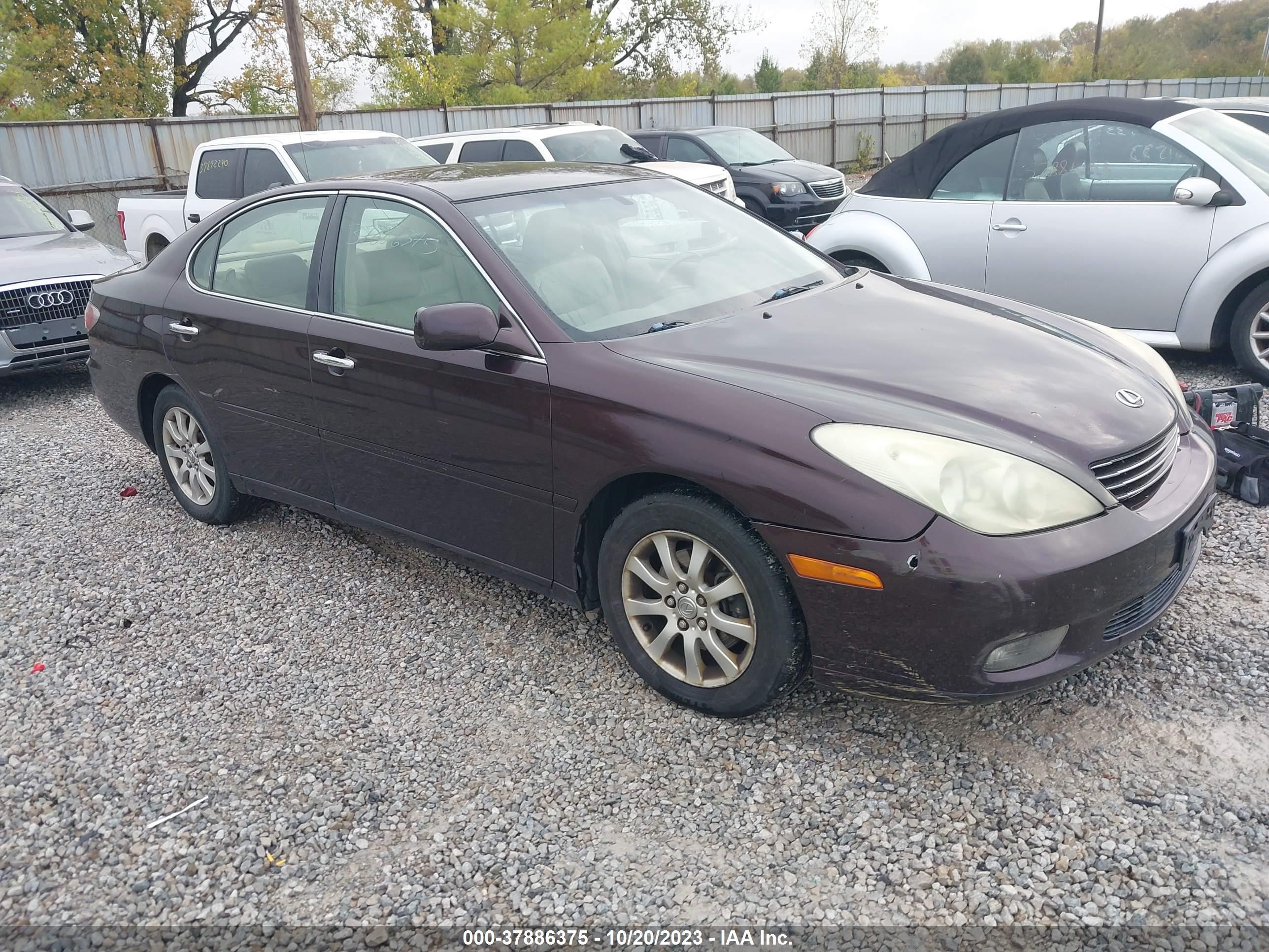 lexus es 2004 jthba30g045026691