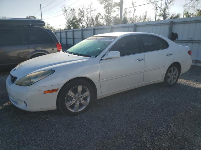 lexus es 330 2005 jthba30g055075066