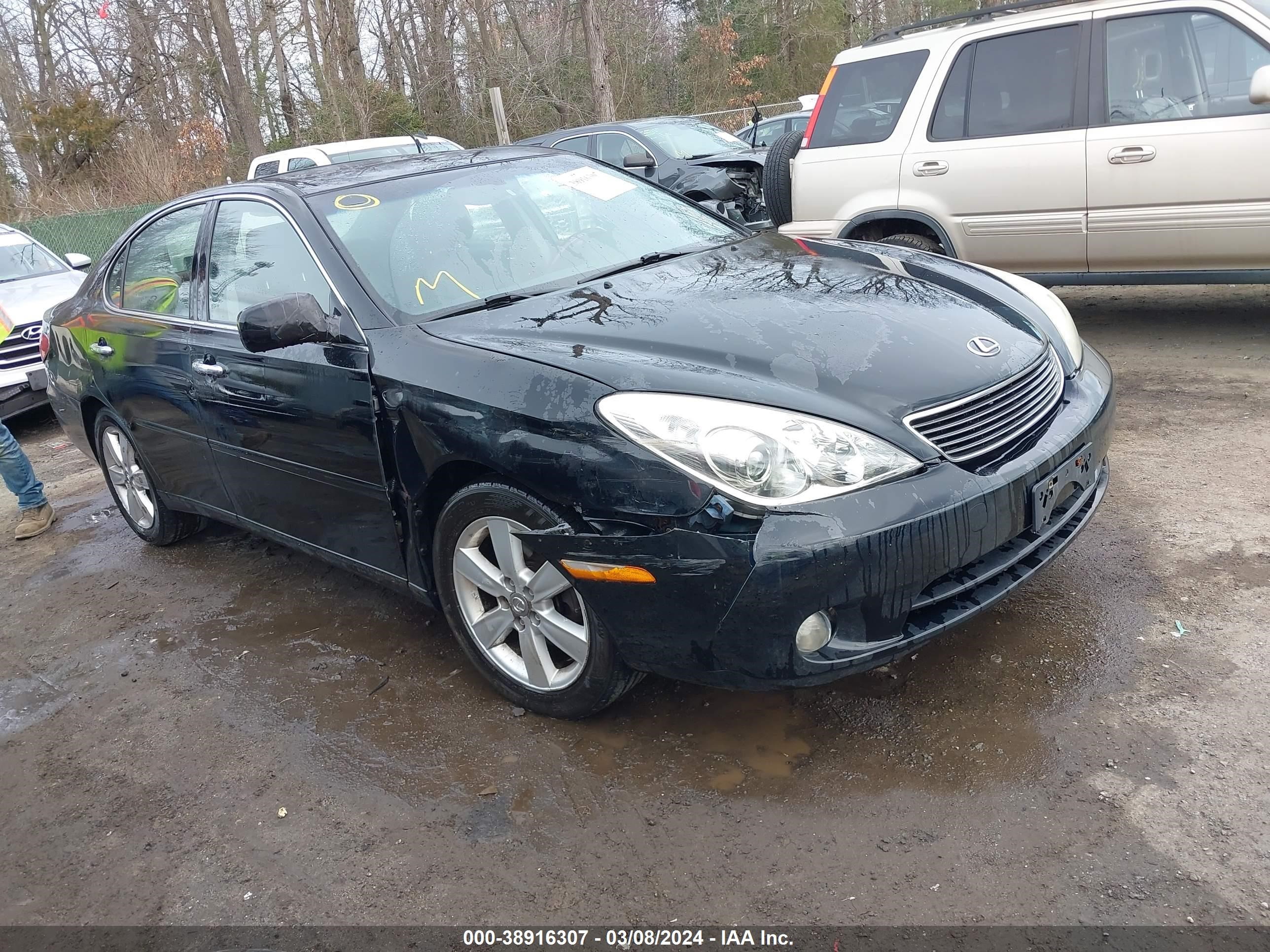 lexus es 2005 jthba30g055094796