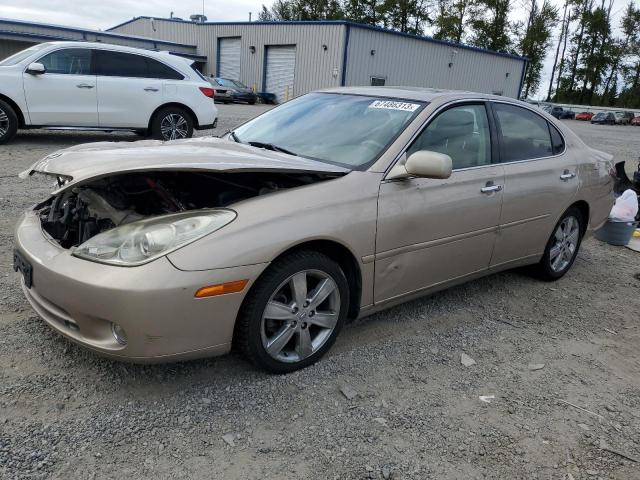 lexus es 330 2005 jthba30g055120412