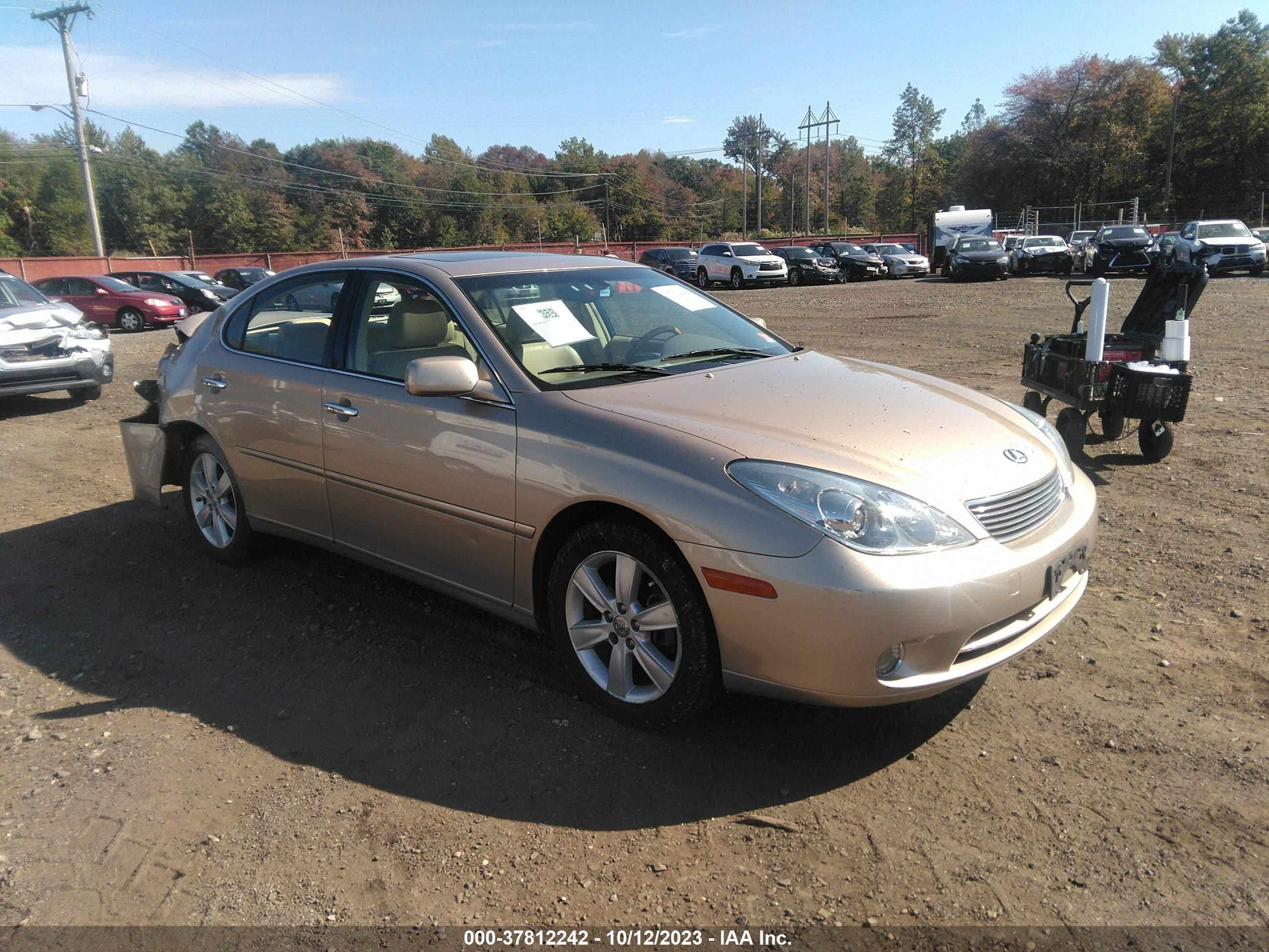 lexus es 2006 jthba30g065147613