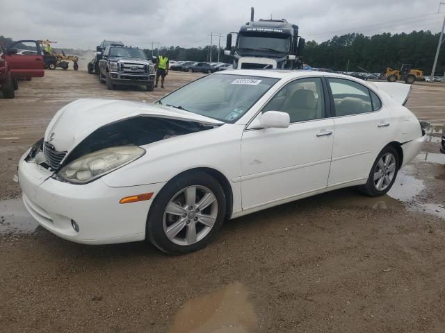 lexus es330 2006 jthba30g065150110