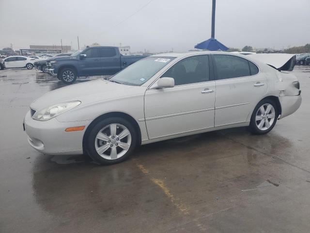 lexus es 330 2006 jthba30g065160104