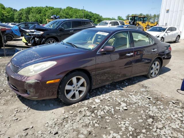 lexus es330 2005 jthba30g155102226