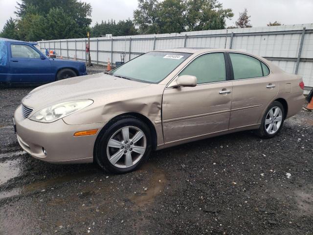 lexus es 330 2005 jthba30g155104381