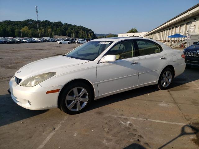 lexus es 330 2005 jthba30g155118281