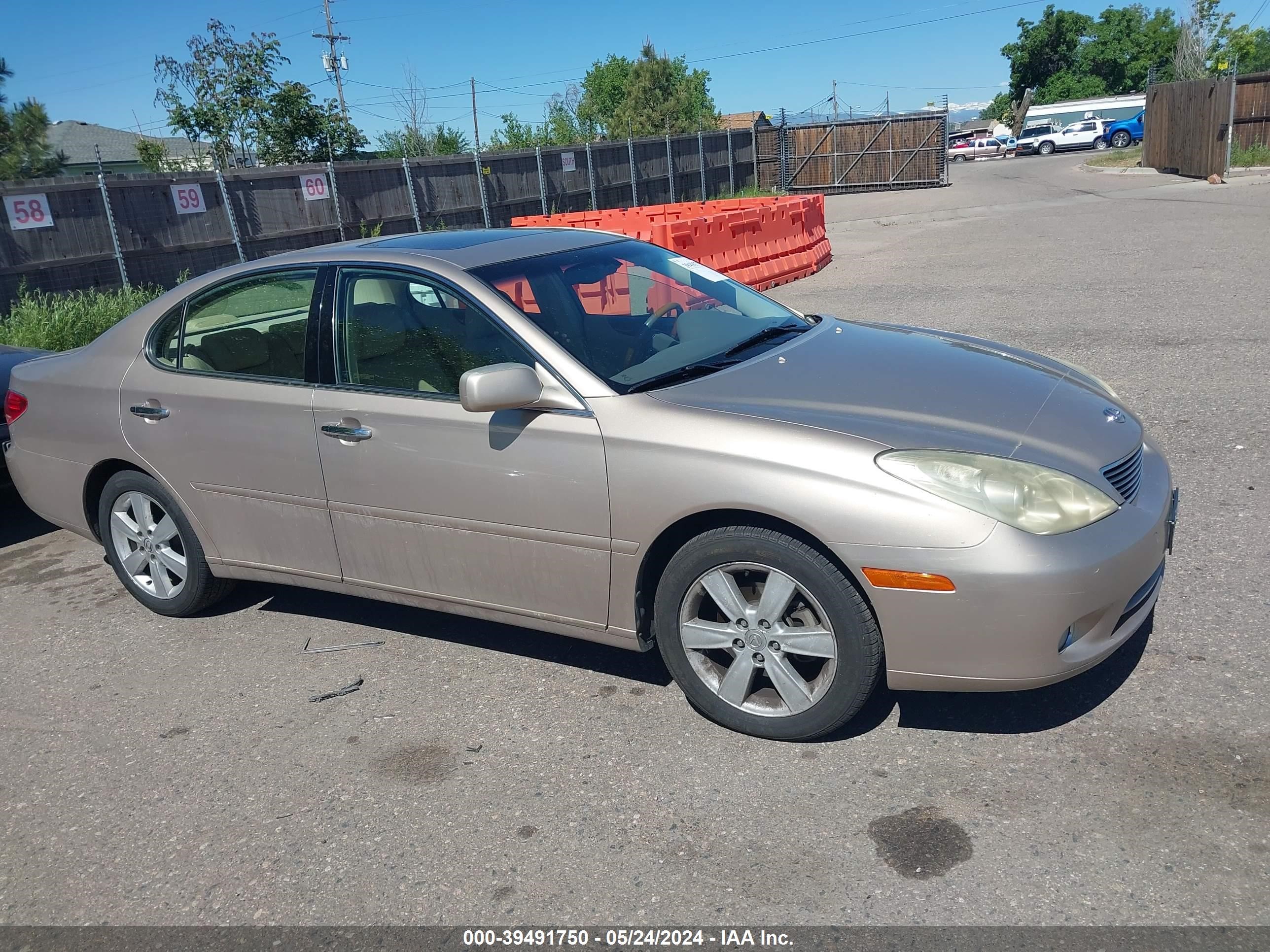 lexus es 2006 jthba30g165172150