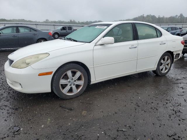 lexus es 330 2005 jthba30g255091558