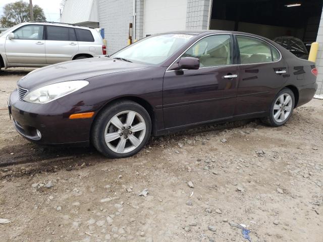 lexus es330 2005 jthba30g255139446