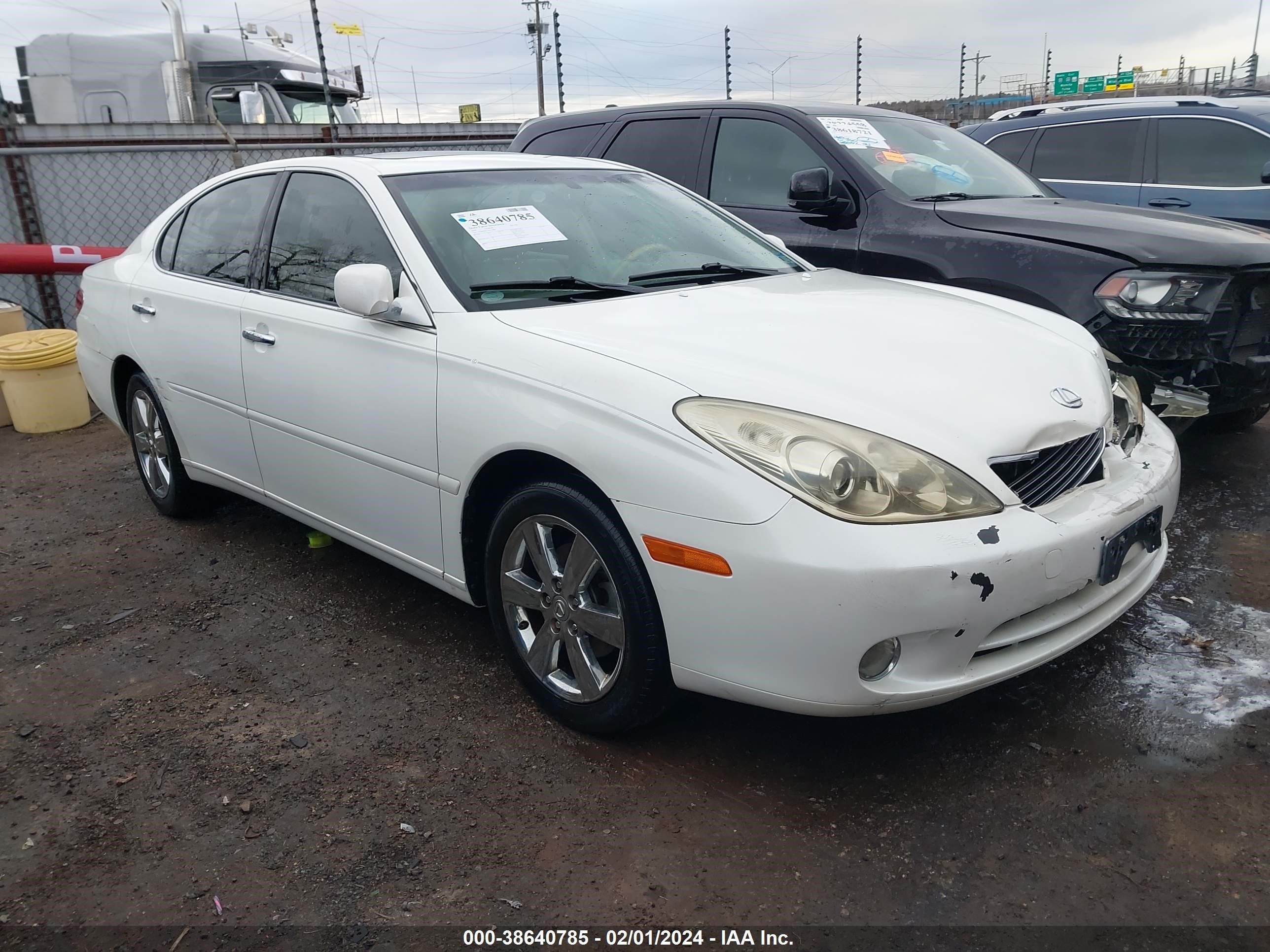 lexus es 2005 jthba30g255139981