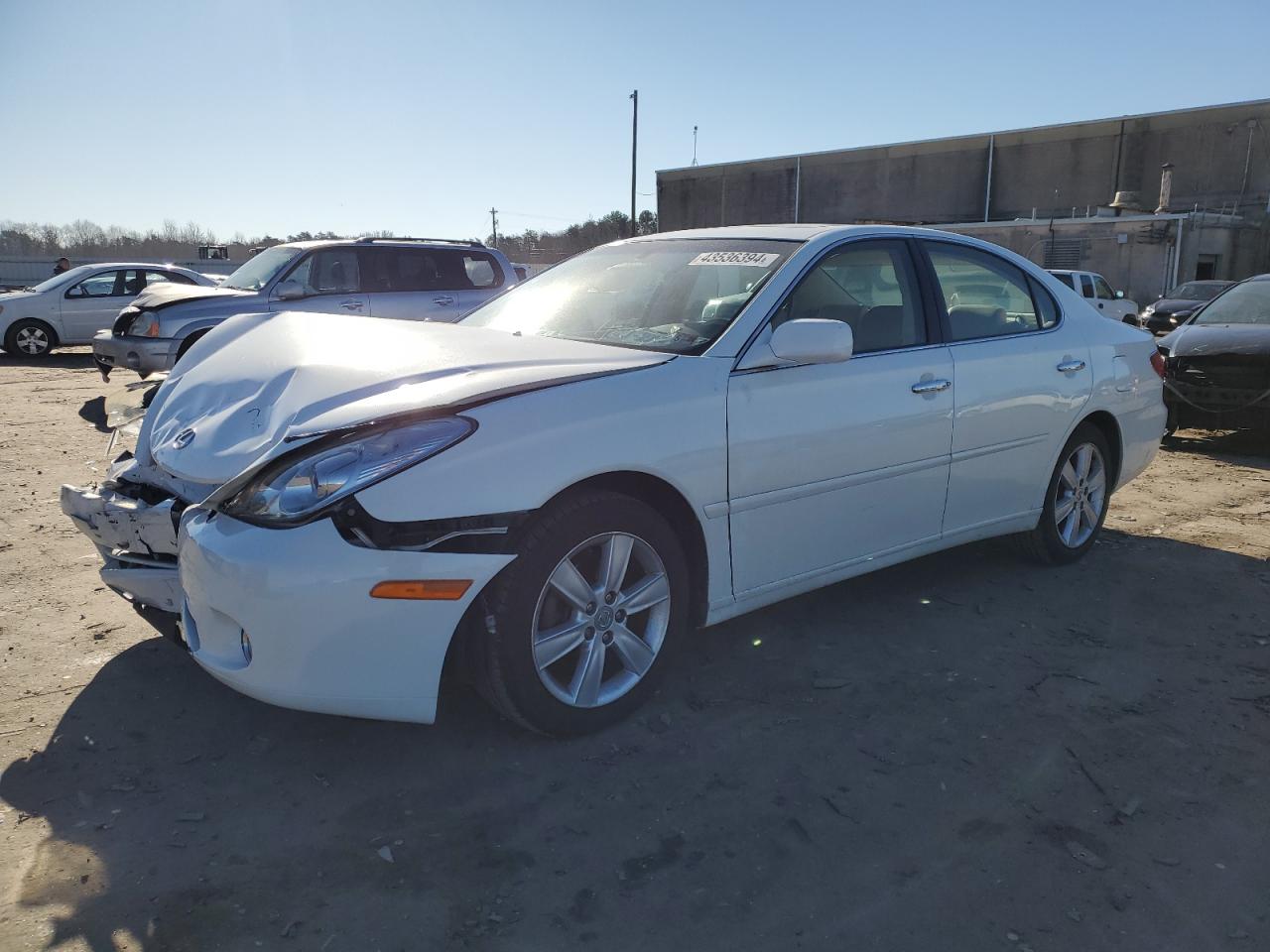 lexus es 2006 jthba30g265144843