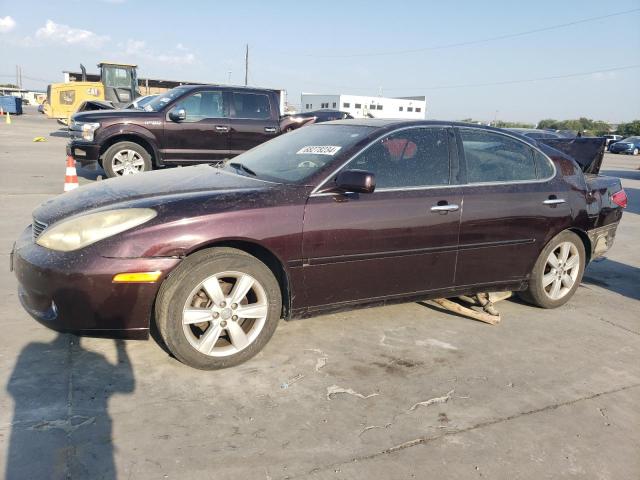 lexus es 330 2006 jthba30g265173811