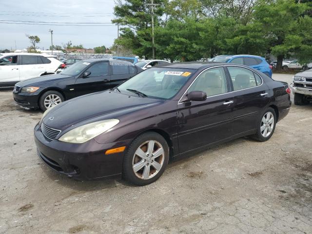 lexus es 2005 jthba30g355093819