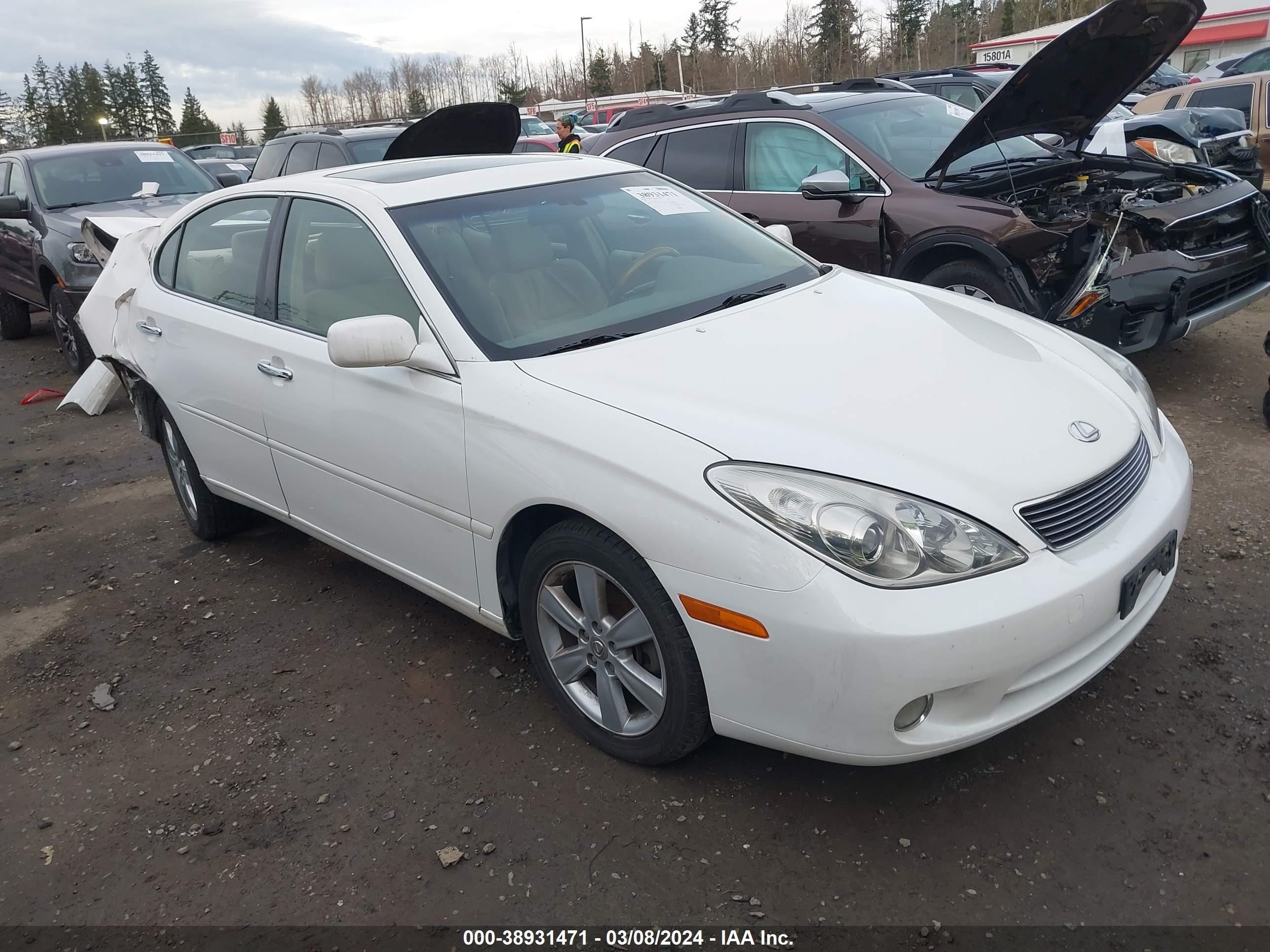 lexus es 2005 jthba30g355115821