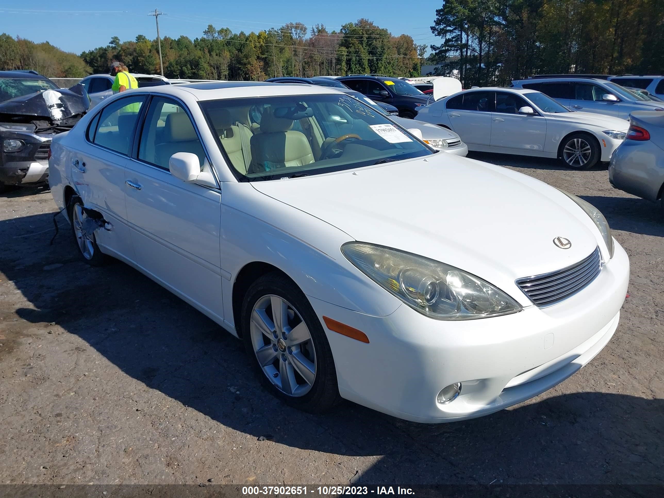 lexus es 2005 jthba30g355139875