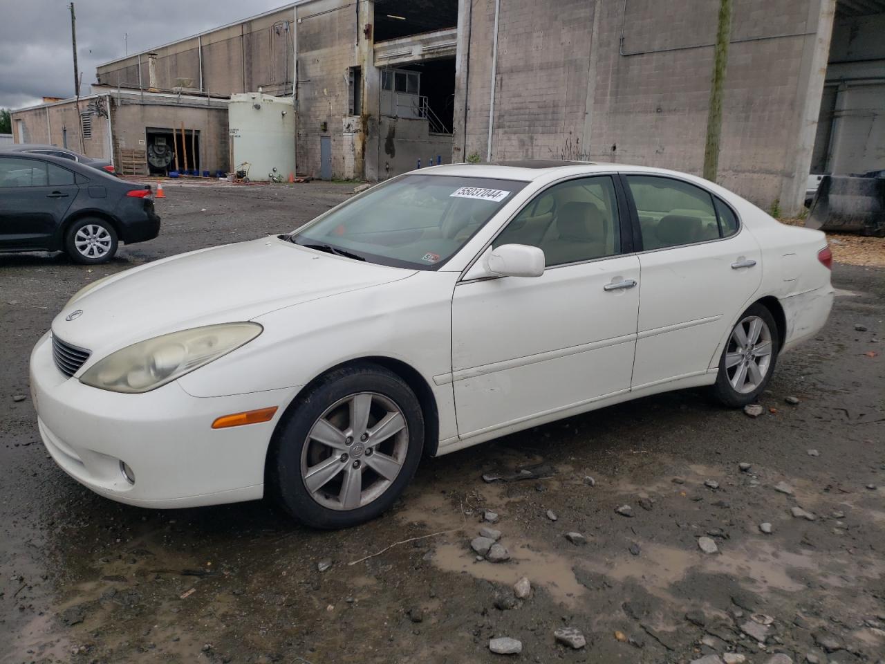 lexus es 2006 jthba30g365166740