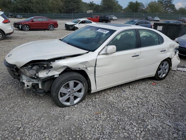 lexus es 330 2005 jthba30g455071392