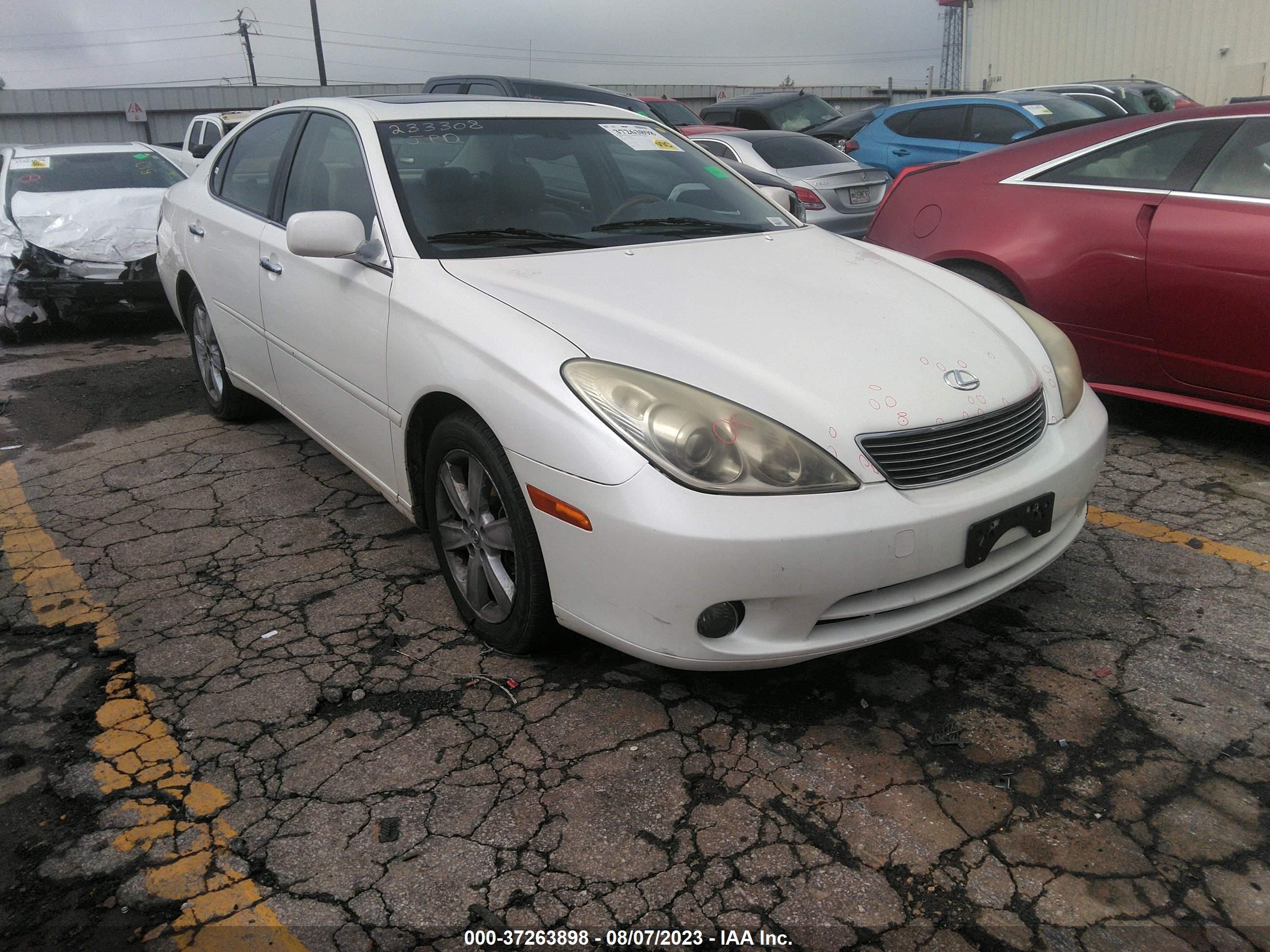 lexus es 2005 jthba30g455113561