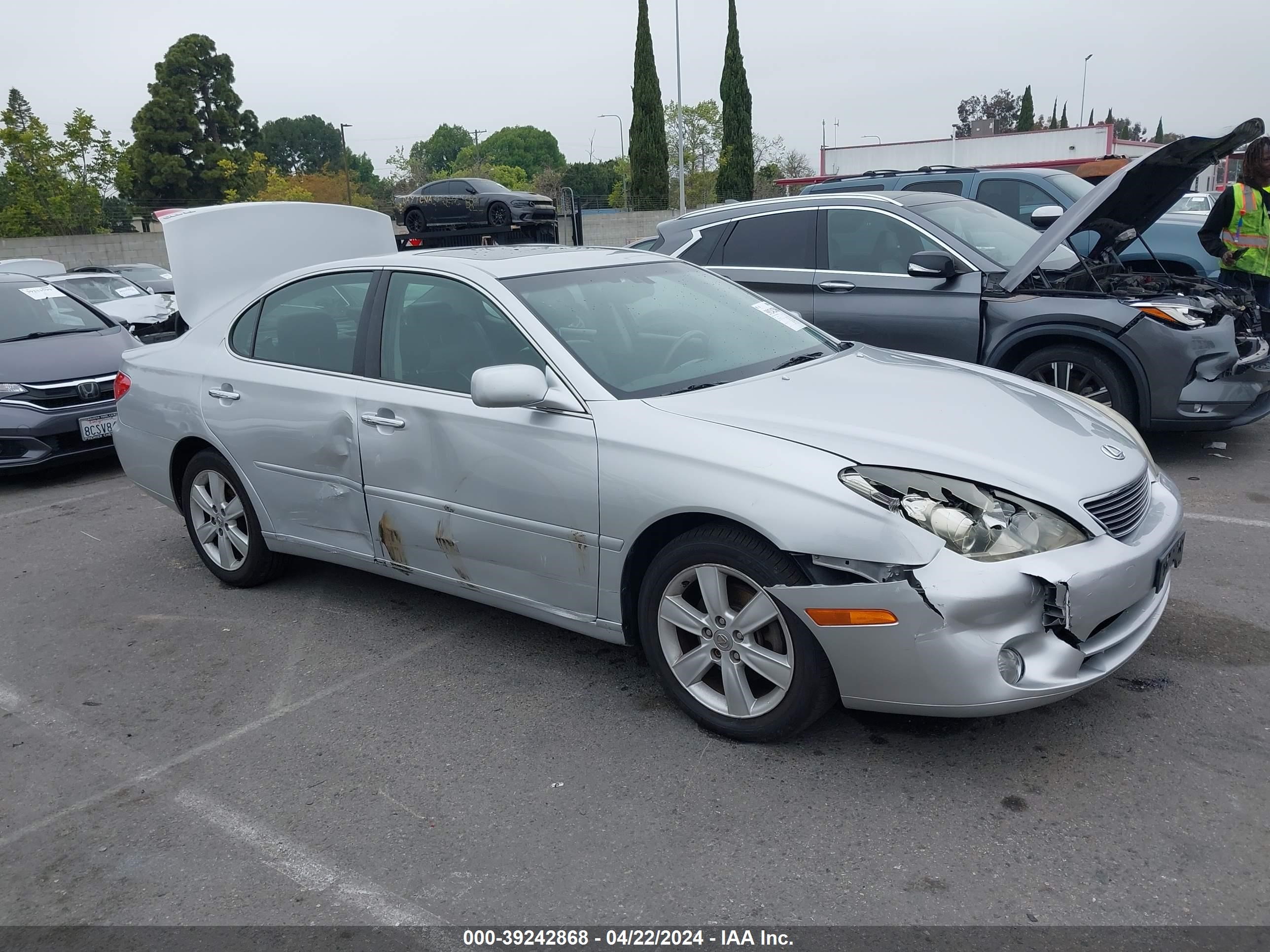 lexus es 2006 jthba30g465162616