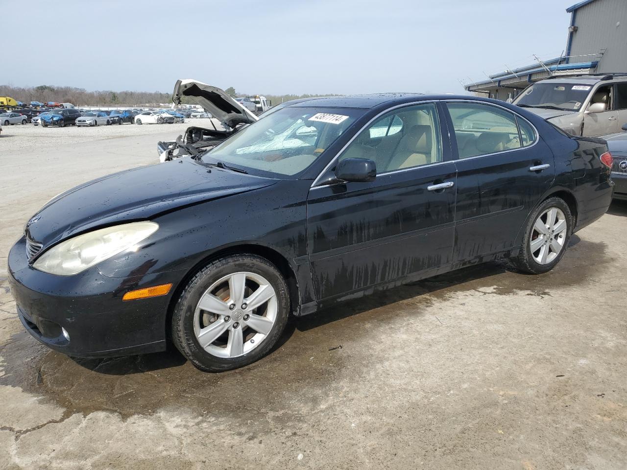 lexus es 2006 jthba30g465171266