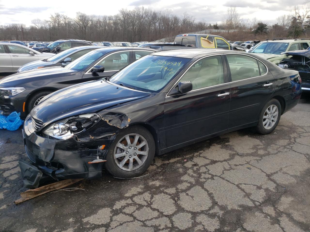 lexus es 2004 jthba30g540002674