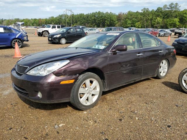 lexus es330 2005 jthba30g555067559