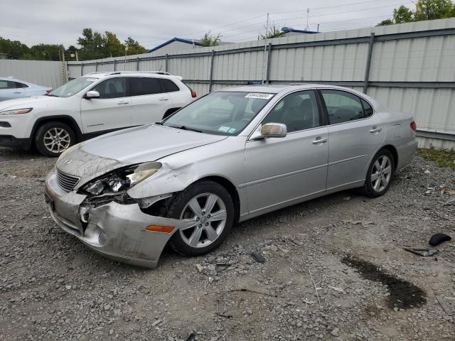 lexus es 330 2005 jthba30g555092770