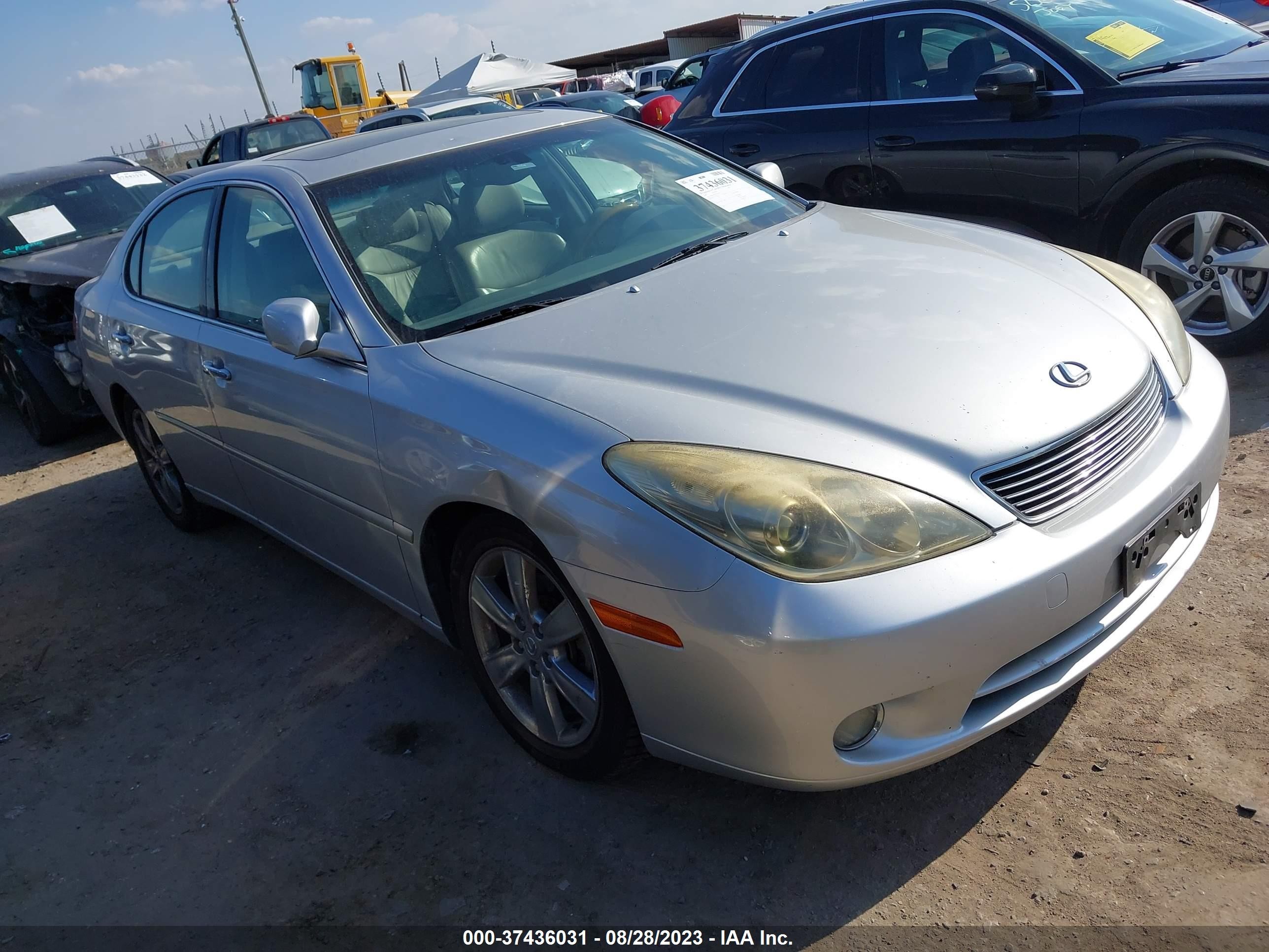 lexus es 330 2005 jthba30g555131941