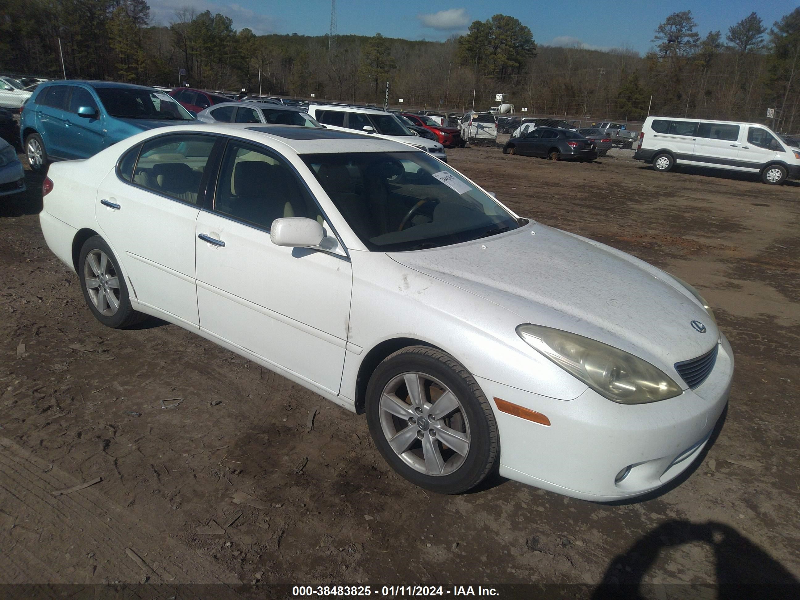 lexus es 2005 jthba30g655060362