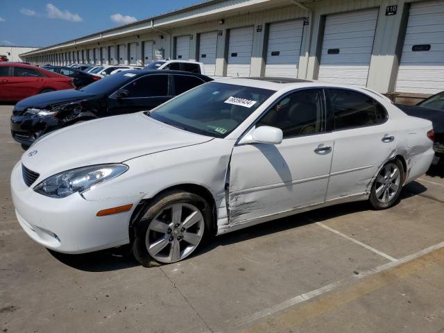 lexus es 330 2005 jthba30g655063276