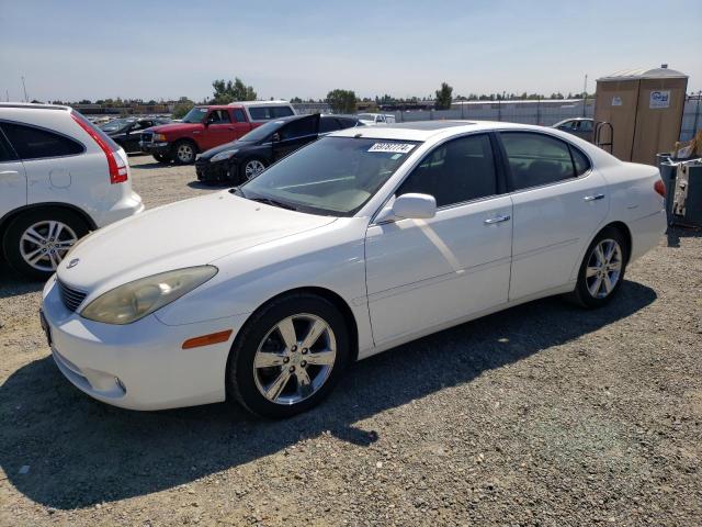 lexus es 330 2005 jthba30g655093104