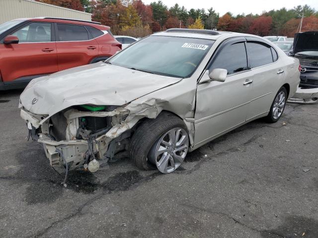 lexus es 330 2005 jthba30g655128837