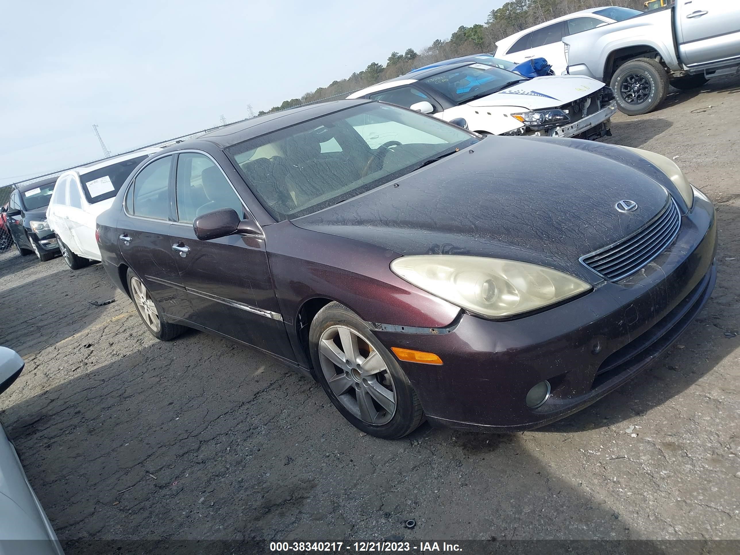 lexus es 2006 jthba30g665176355