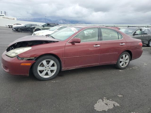 lexus es 330 2005 jthba30g855107066