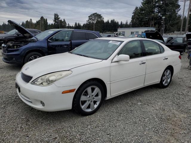 lexus es 330 2005 jthba30g855132694