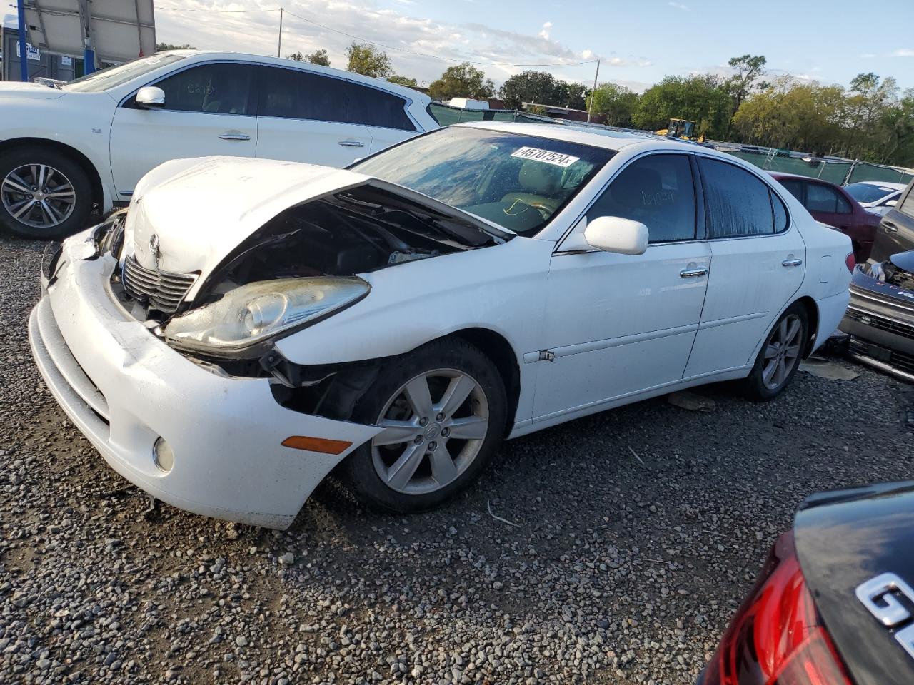 lexus es 2006 jthba30g865175076