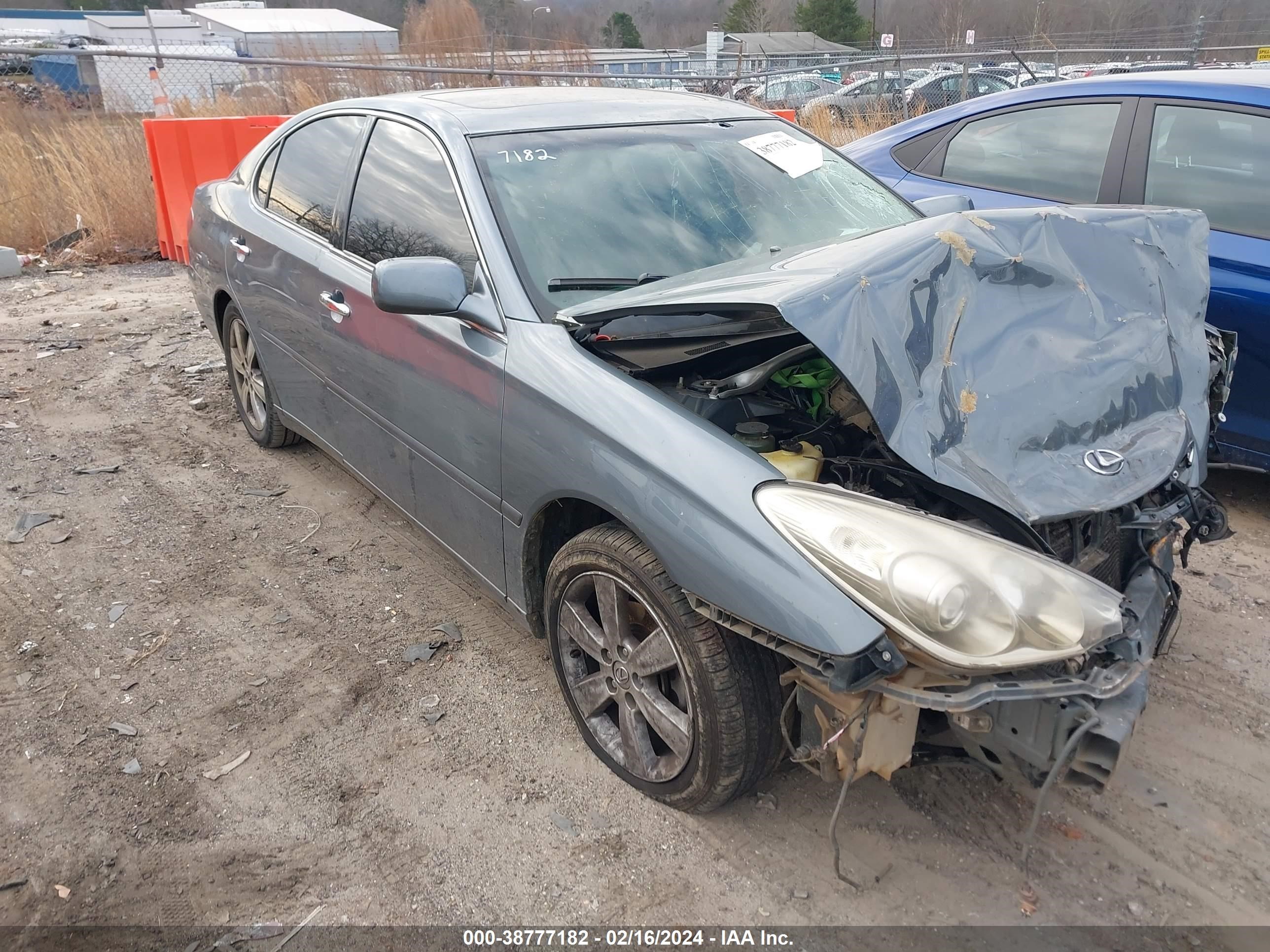 lexus es 2005 jthba30g955069251