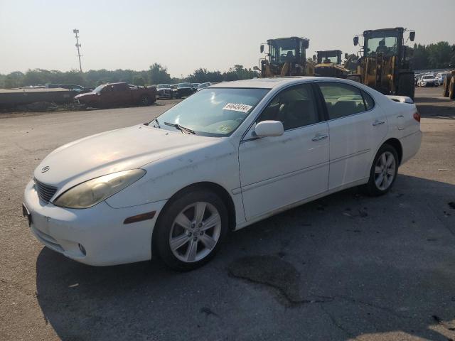 lexus es 330 2005 jthba30g955080086