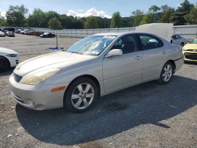 lexus es330 2005 jthba30g955108999