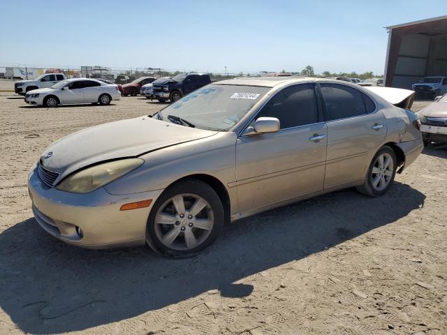 lexus es 330 2005 jthba30g955110882