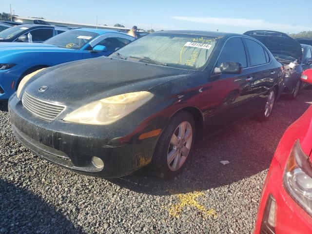 lexus es 330 2005 jthba30g955120828