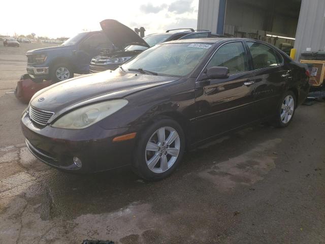 lexus es 330 2005 jthba30gx55065483