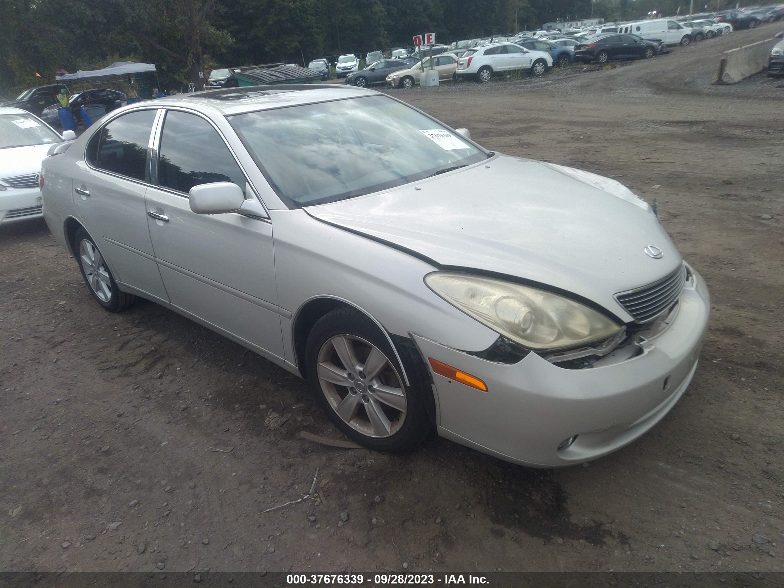 lexus es 2005 jthba30gx55100510