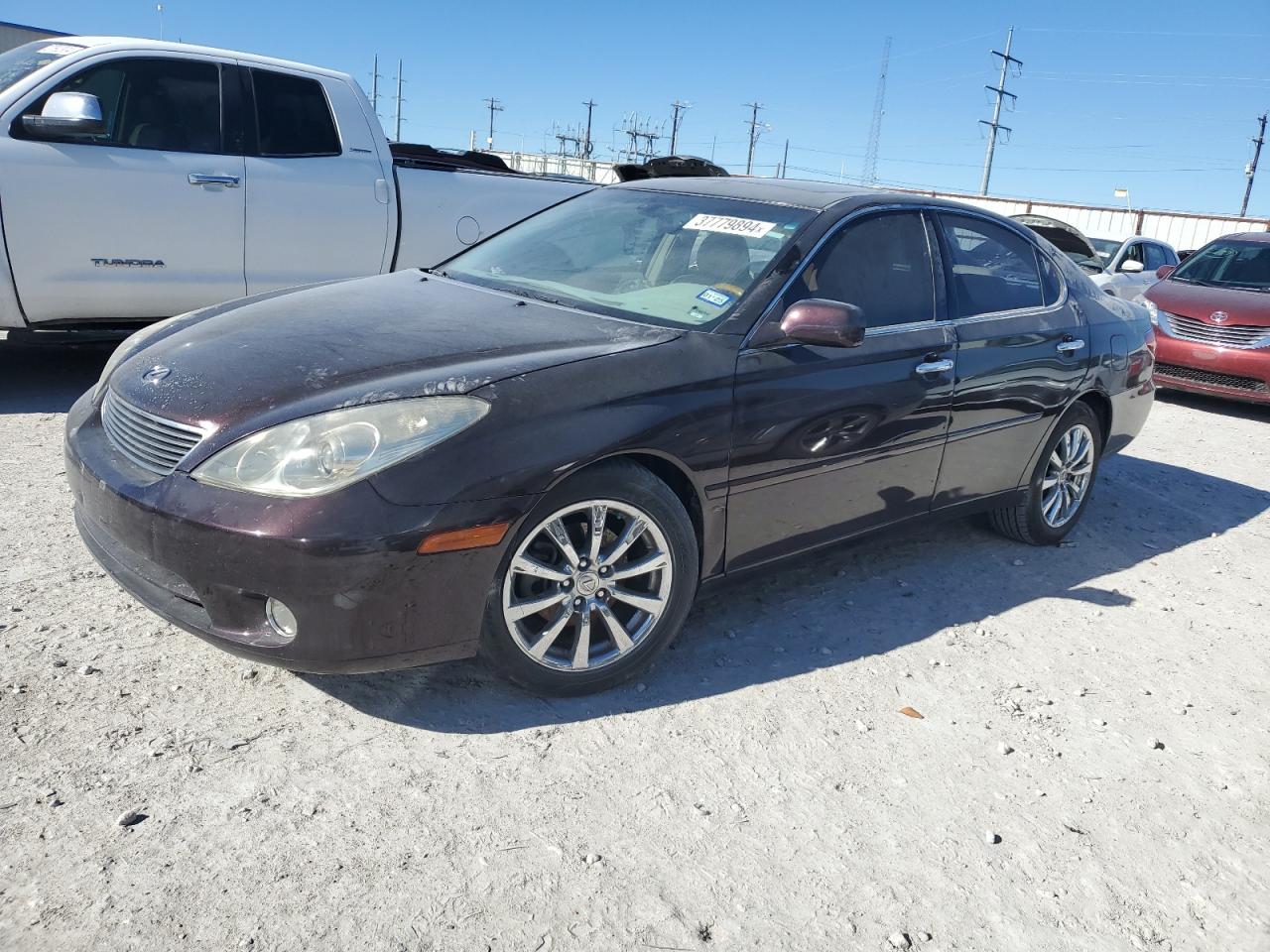 lexus es 2005 jthba30gx55126878