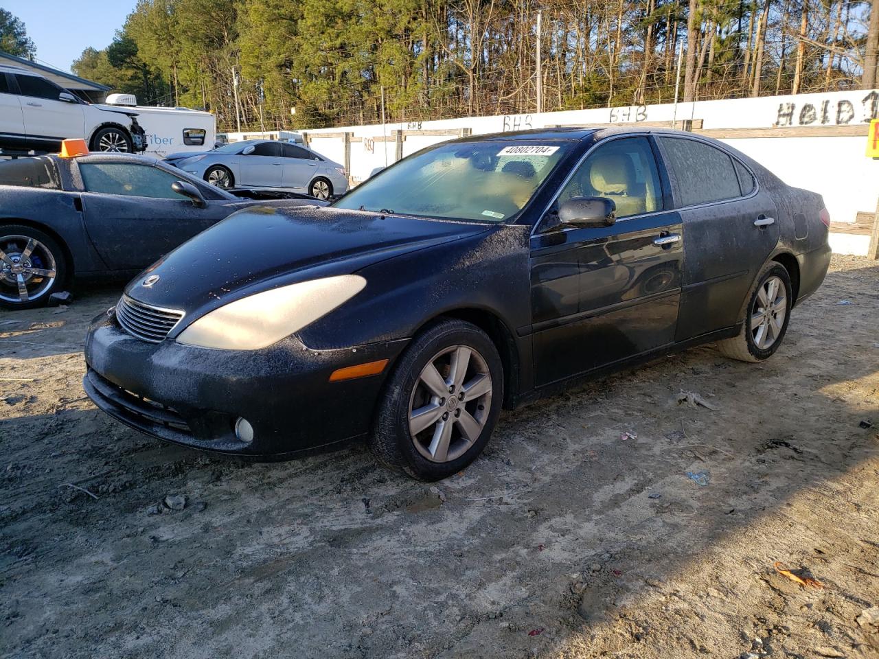 lexus es 2005 jthba30gx55127836