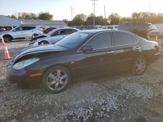 lexus es 330 2006 jthba30gx65156688