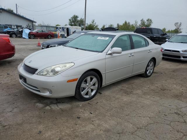 lexus es 330 2006 jthba30gx65167089